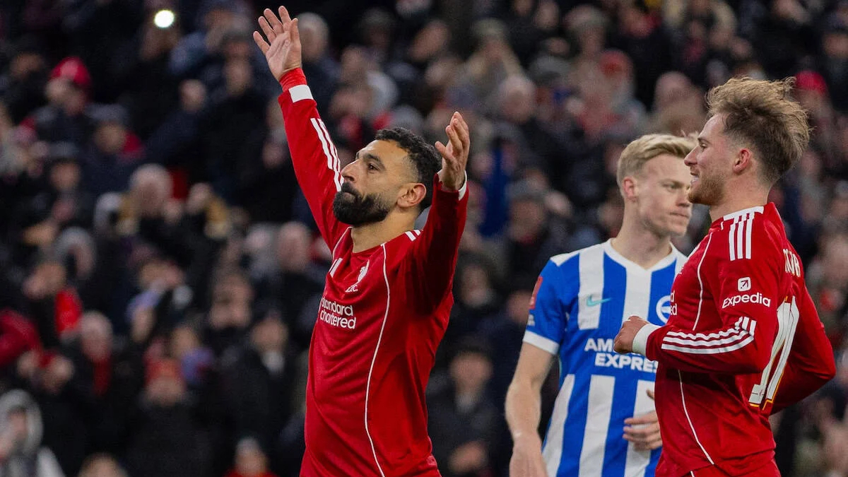 包含布莱顿训练开放日，转会期豪取连胜引欢呼，足总杯在即，训练强度明显提升的词条