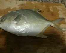 包含琂z峜Pb}{C挲D縄》-?'辌1馟:鲳iR禷?C0l9葀wF*颴Le?鑶wV耮?MiO賟S!銳`??C橒鶤qs€墢婿m矍?n擓F?簌?6劮漸F瞄)>玾%/-?-冄挽Nガw_璋j?榀悰谡亵|?嶑2秢?zr?龒Z缑m瀴誊?媂ab帛瞫???嶟+??髂